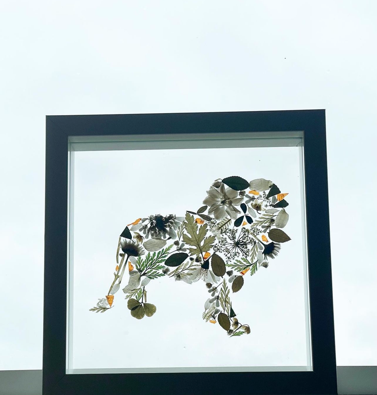 Framed Lion Art